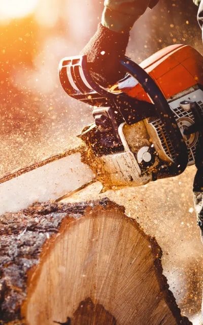 tools-img-saw-2.jpg tools-img-saw-2.jpg